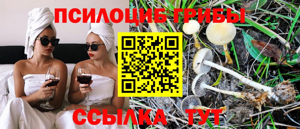 Псилоцибиновые грибы мицелий  Вход с VPN  Борзя  Псилоцибиновые грибы Magic Shrooms 